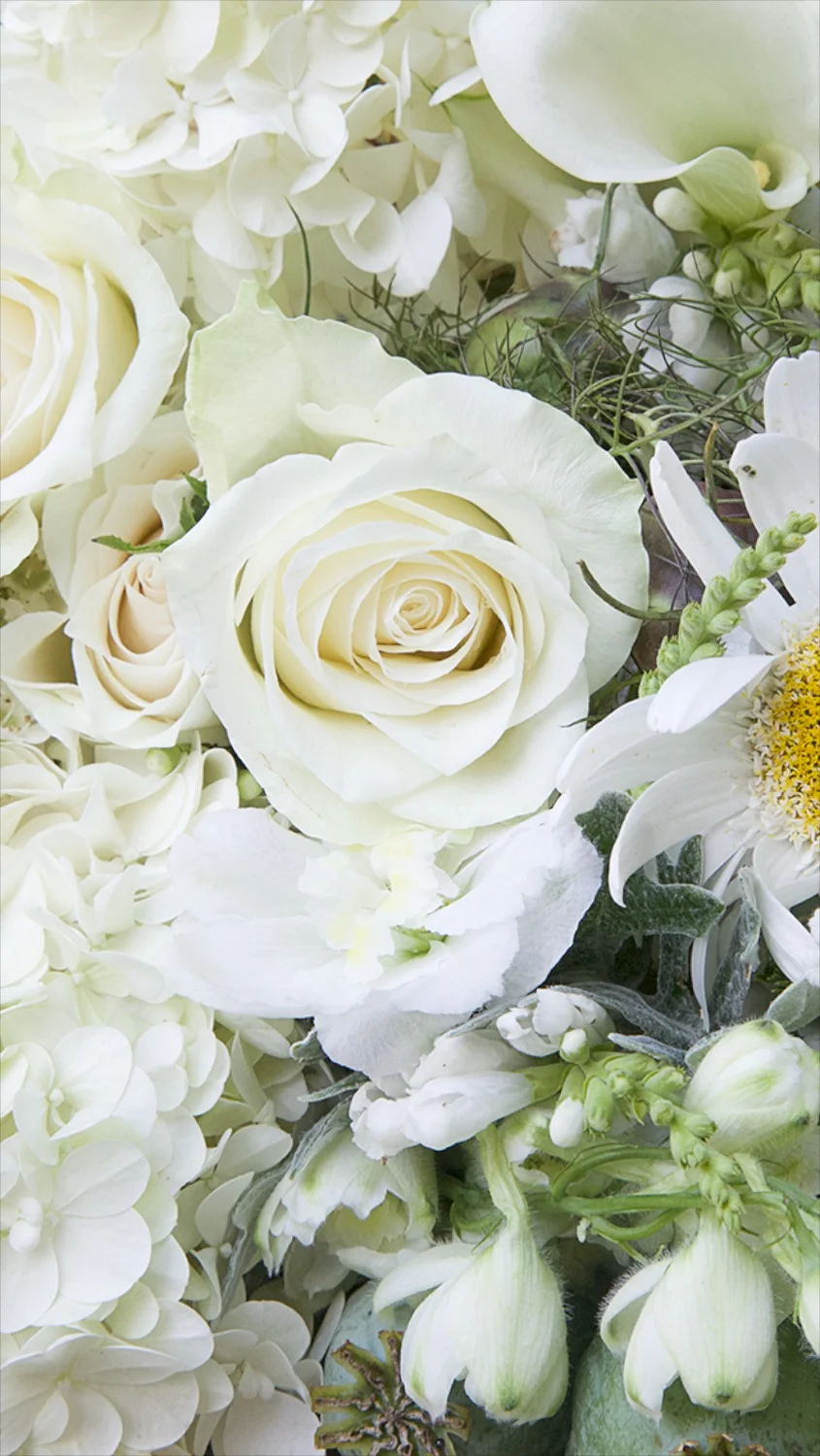 Mobile wallpapers flowers deals